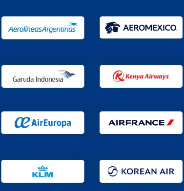 SkyTeam Alliance